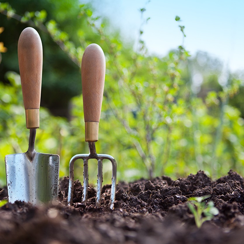 gardening